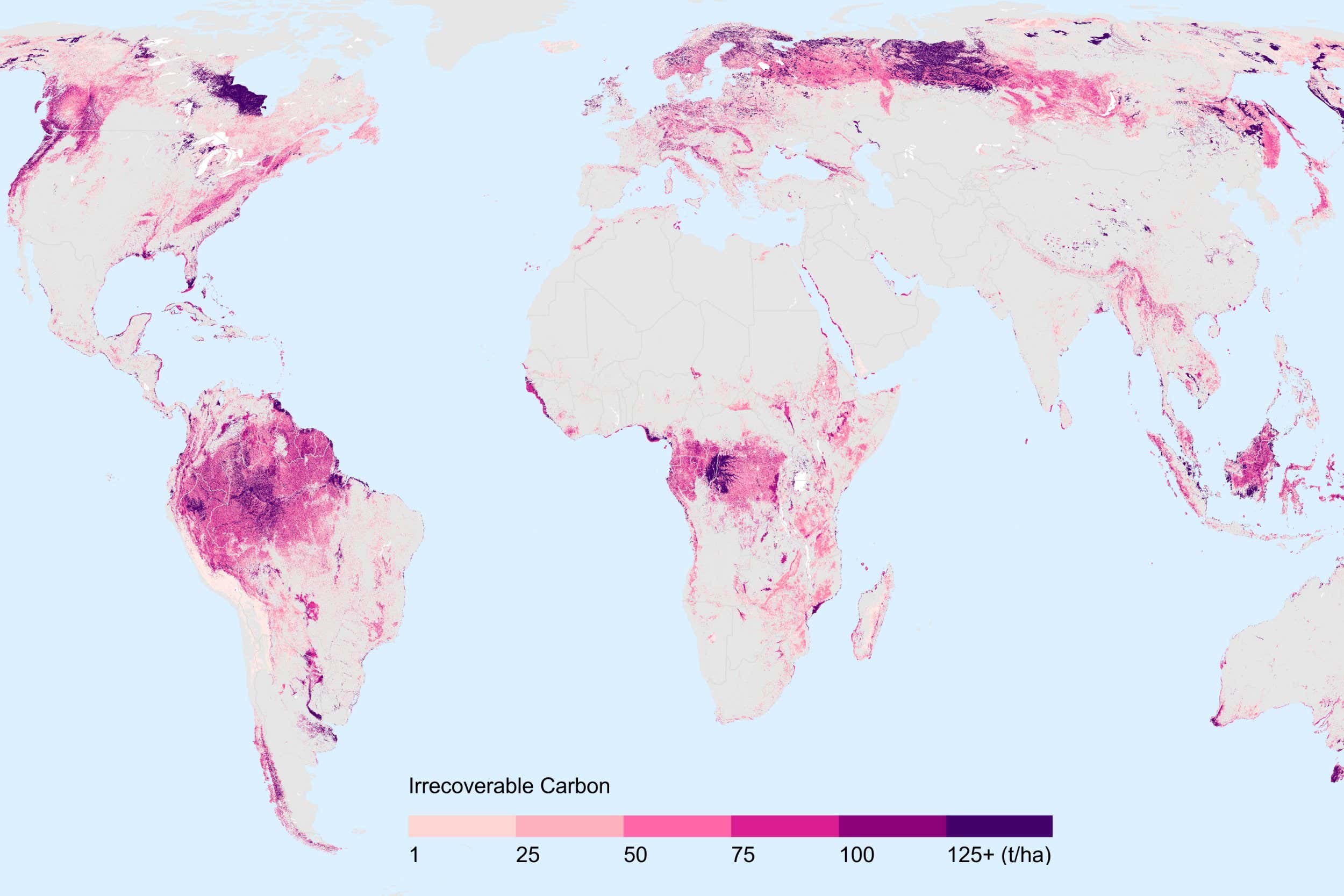 Irrecoverable carbon in Earth?s ecosystems.