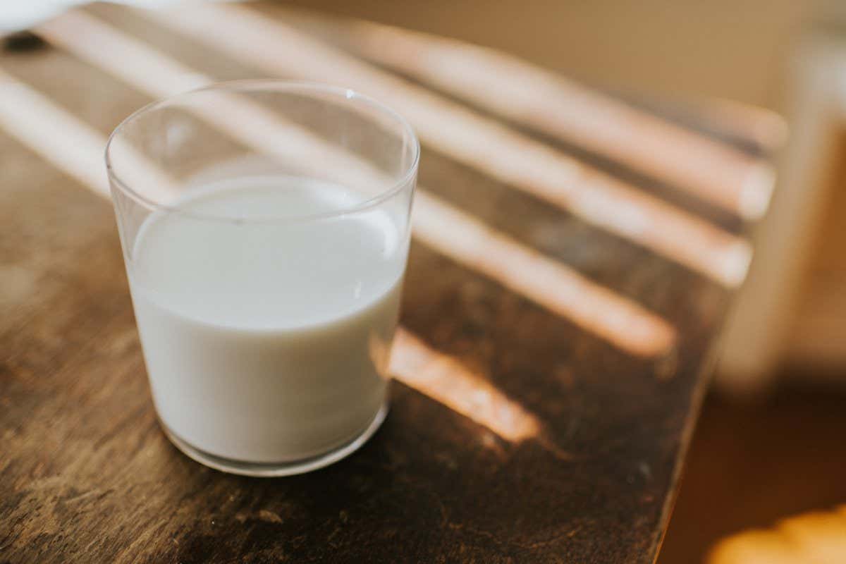 Glass of milk.