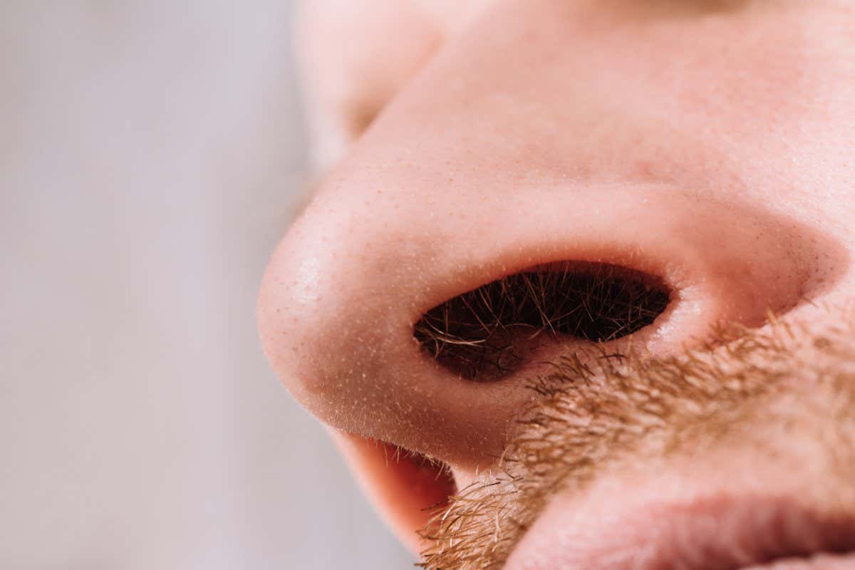 Male nose close up bottom view - hair in the nostrils; Shutterstock ID 1895123341; purchase_order: -; job: -; client: -; other: -