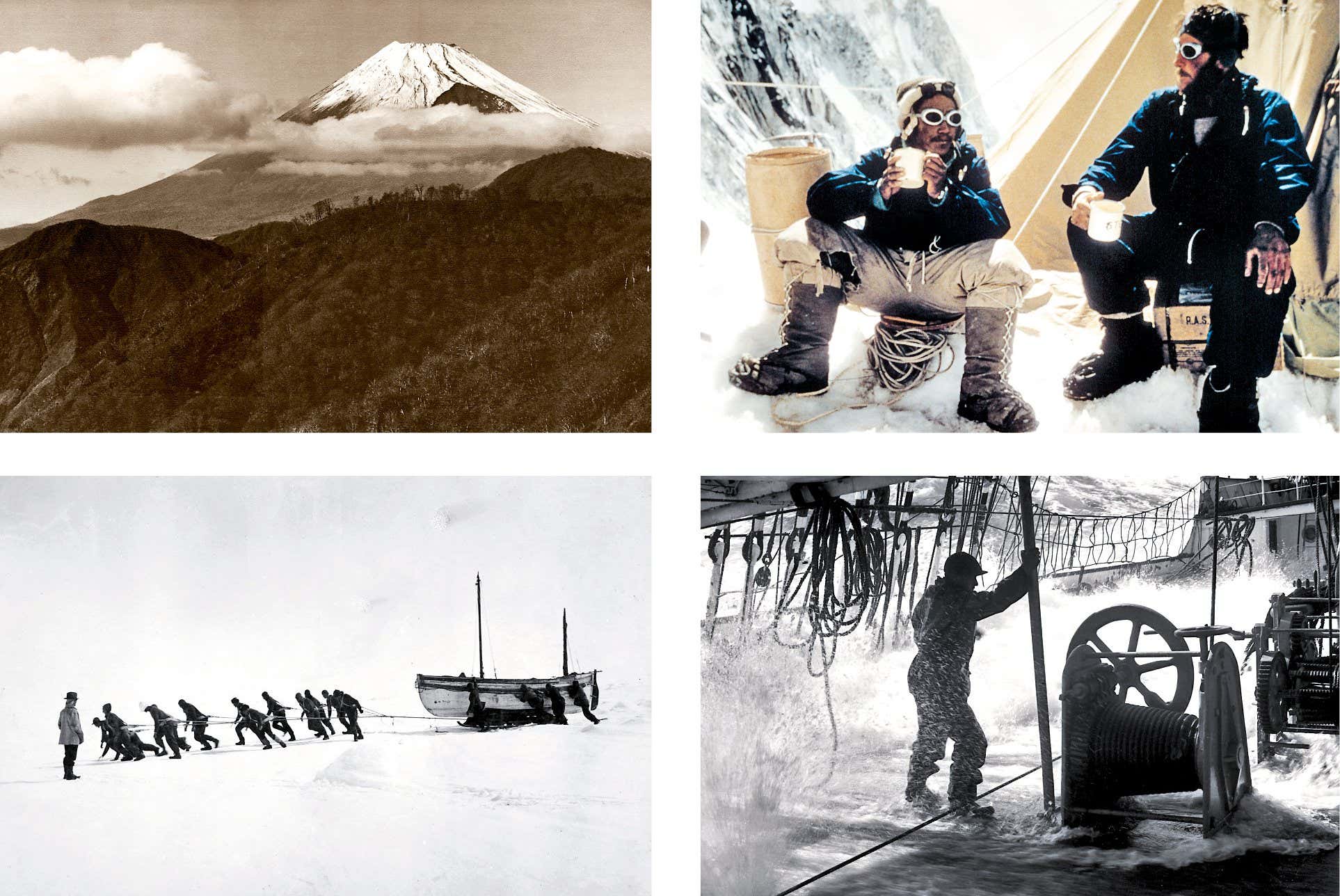 New Scientist. Science news and long reads from expert journalists, covering developments in science, technology, health and the environment on the website and the magazine.