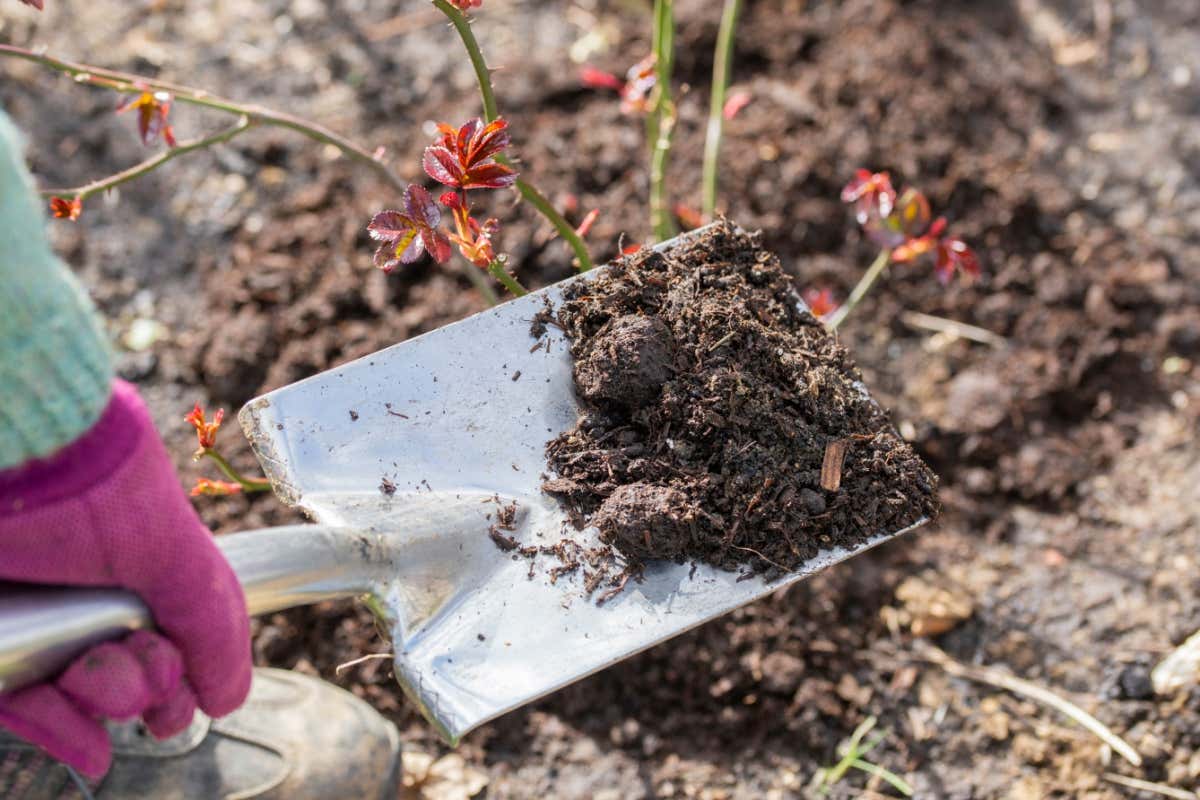 It’s time to tuck your plants into a compost bed for winter