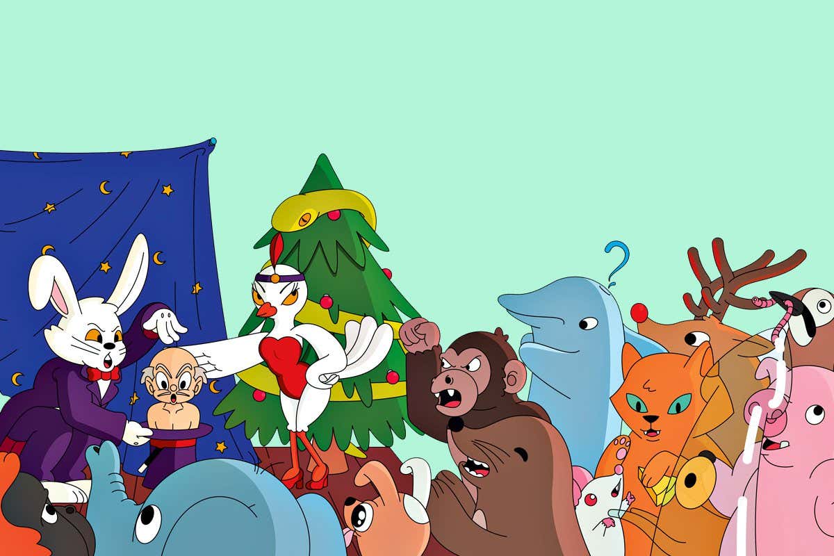 What doing magic tricks for birds is revealing about animal minds