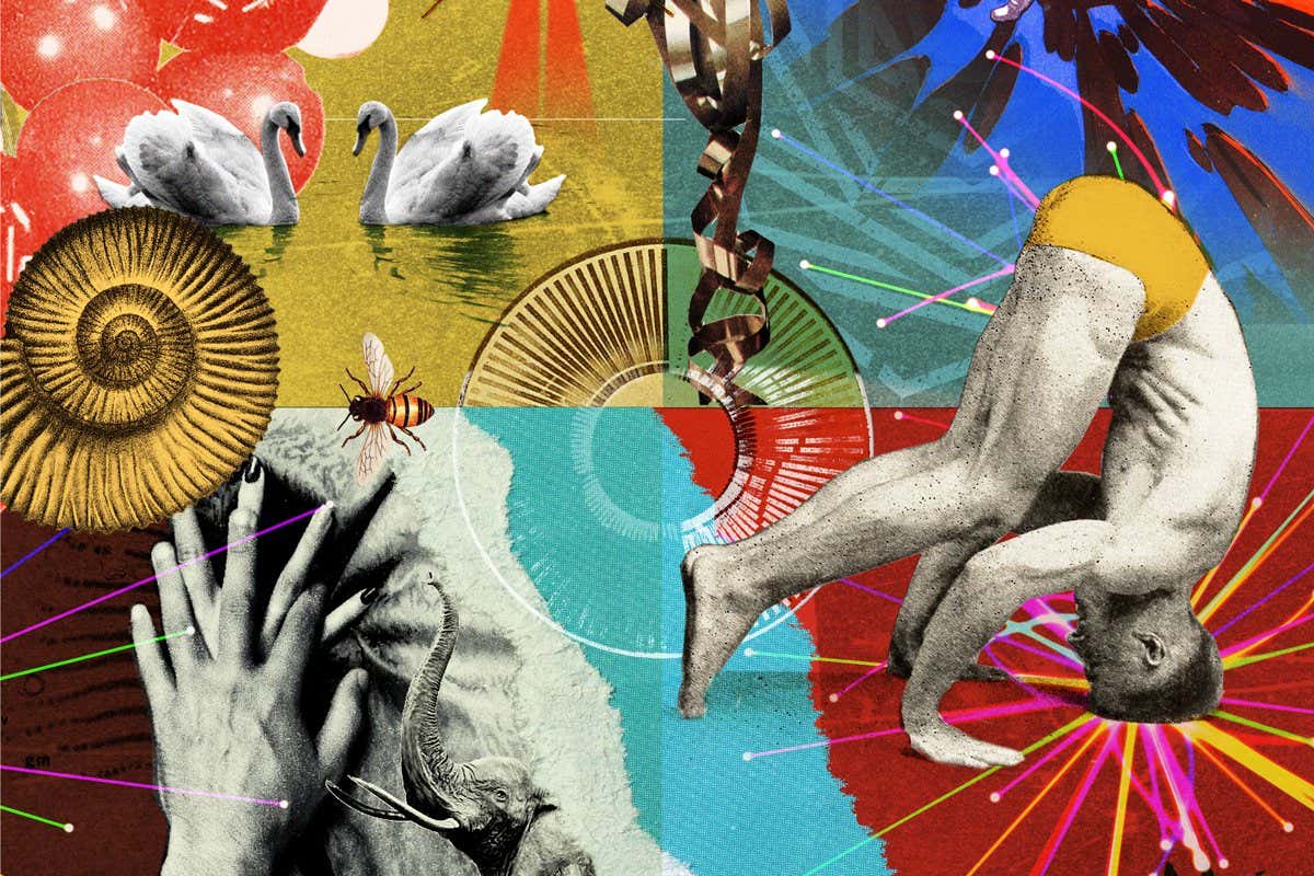 Strange but true? Test yourself in our barely believable science quiz