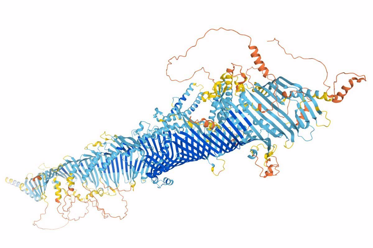 2021 in review: AI firm DeepMind solves human protein structures