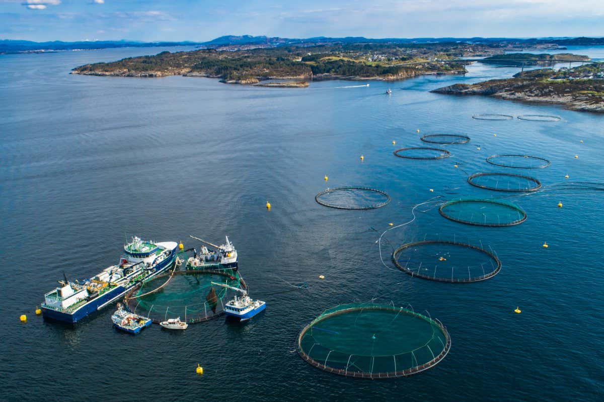 Salmon fish farm in fjord. Norway, Bergen.; Shutterstock ID 1091461793; purchase_order: -; job: -; client: -; other: -