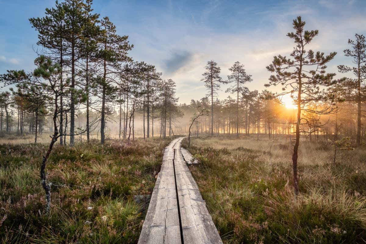 Photo taken in Loppi, Finland