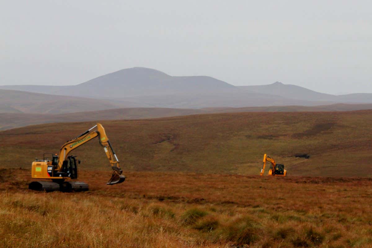 Drain blocking has been taking place in the Langwell & Braemore catchments since 2015 over hundreds of hectares and our current research looks into what the impacts of the restoration are on the peatland condition and processes but also on the surrounding freshwater streams and rivers