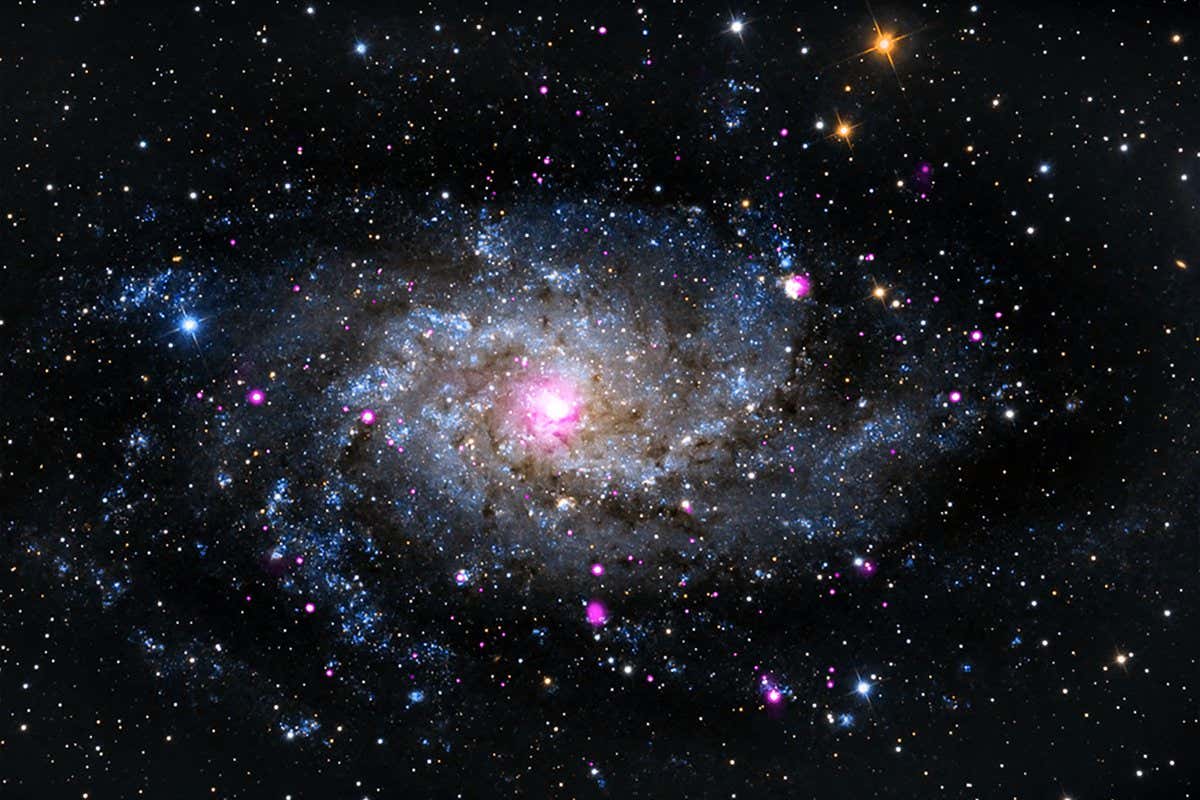 The Triangulum Galaxy, a.k.a., Messier 33, is a spiral galaxy about 3 million light years from Earth. It belongs to the Local Group of galaxies that includes the Milky Way and Andromeda galaxies. Chandra's X-ray data (pink) reveal a diverse range of objects including neutron stars and black holes that are pulling material from a companion star, and supernova remnants. An optical image from the Subaru telescope in Hawaii (red, green, and blue) shows the majestic arms of this spiral galaxy that in many ways is a cousin to our own Milky Way.