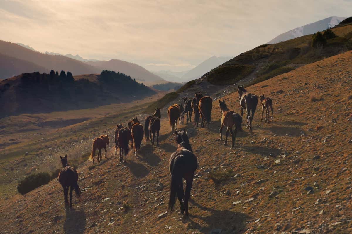 New Scientist. Science news and long reads from expert journalists, covering developments in science, technology, health and the environment on the website and the magazine.