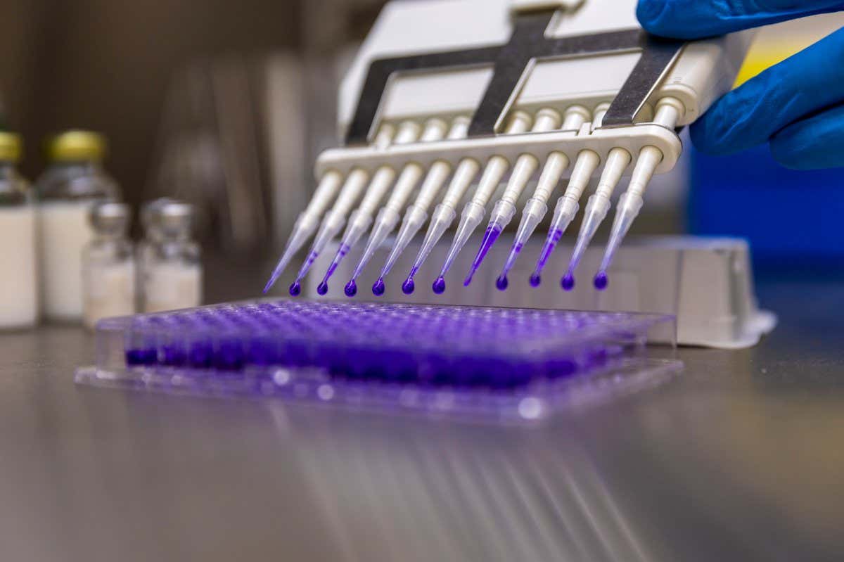 A technician uses a multi-channel pipette dropper to dispense liquid material inside the Afrigen Biologics & Vaccines Ltd. laboratory facility in Cape Town, South Africa, on Monday, July 12, 2021. The??World Health Organization announced it will establish its first-ever mRNA technology transfer hub in Cape Town in an agreement with??Afrigen??and the??Biovac Institute. Photographer: Dwayne Senior/Bloomberg via Getty Images