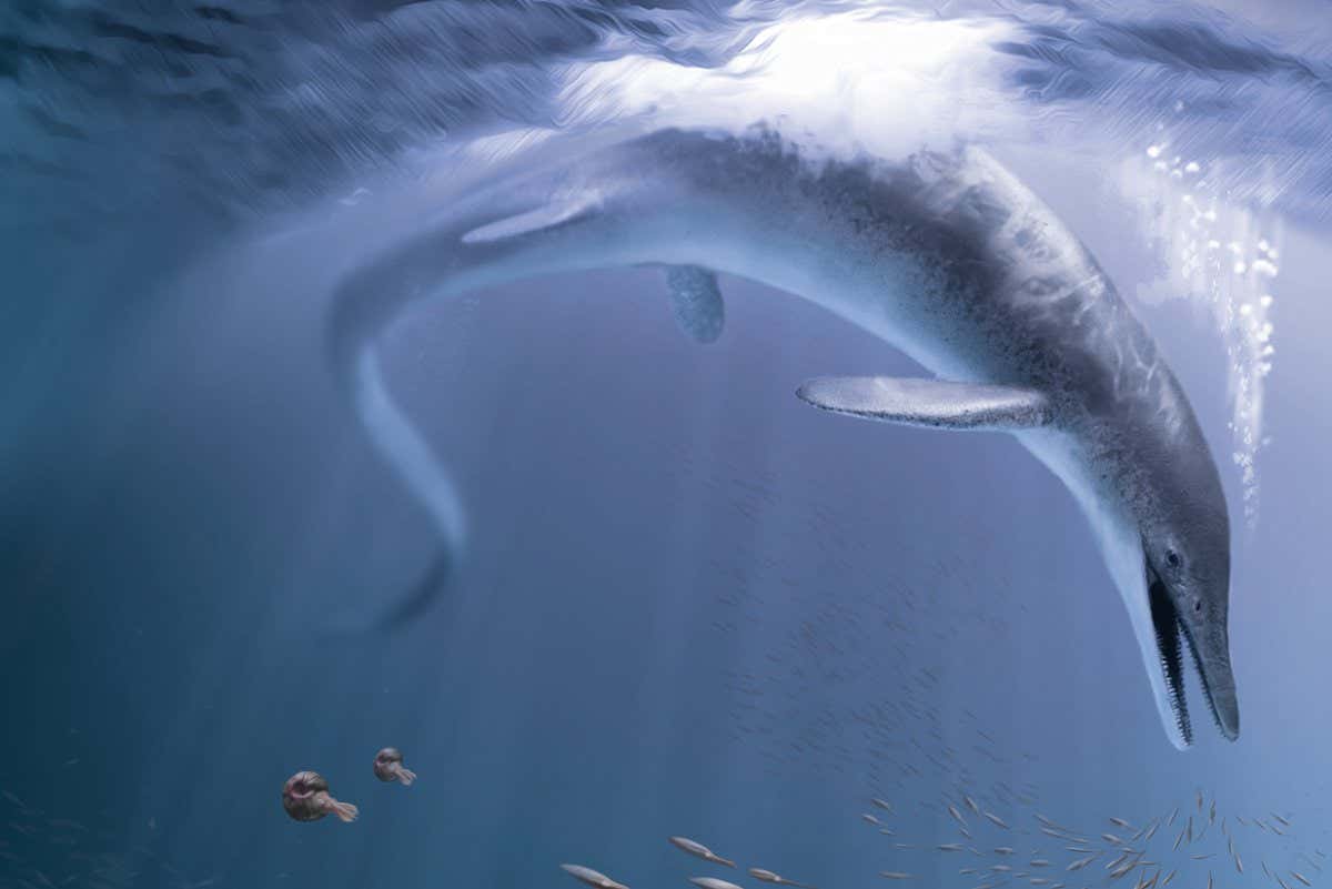 ichthyosaur reconstruction