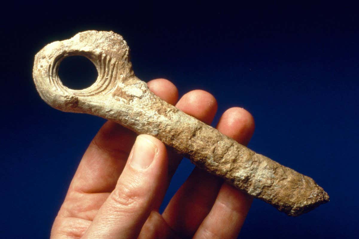 DTEYN0 Antler baton (Gough's Cave)