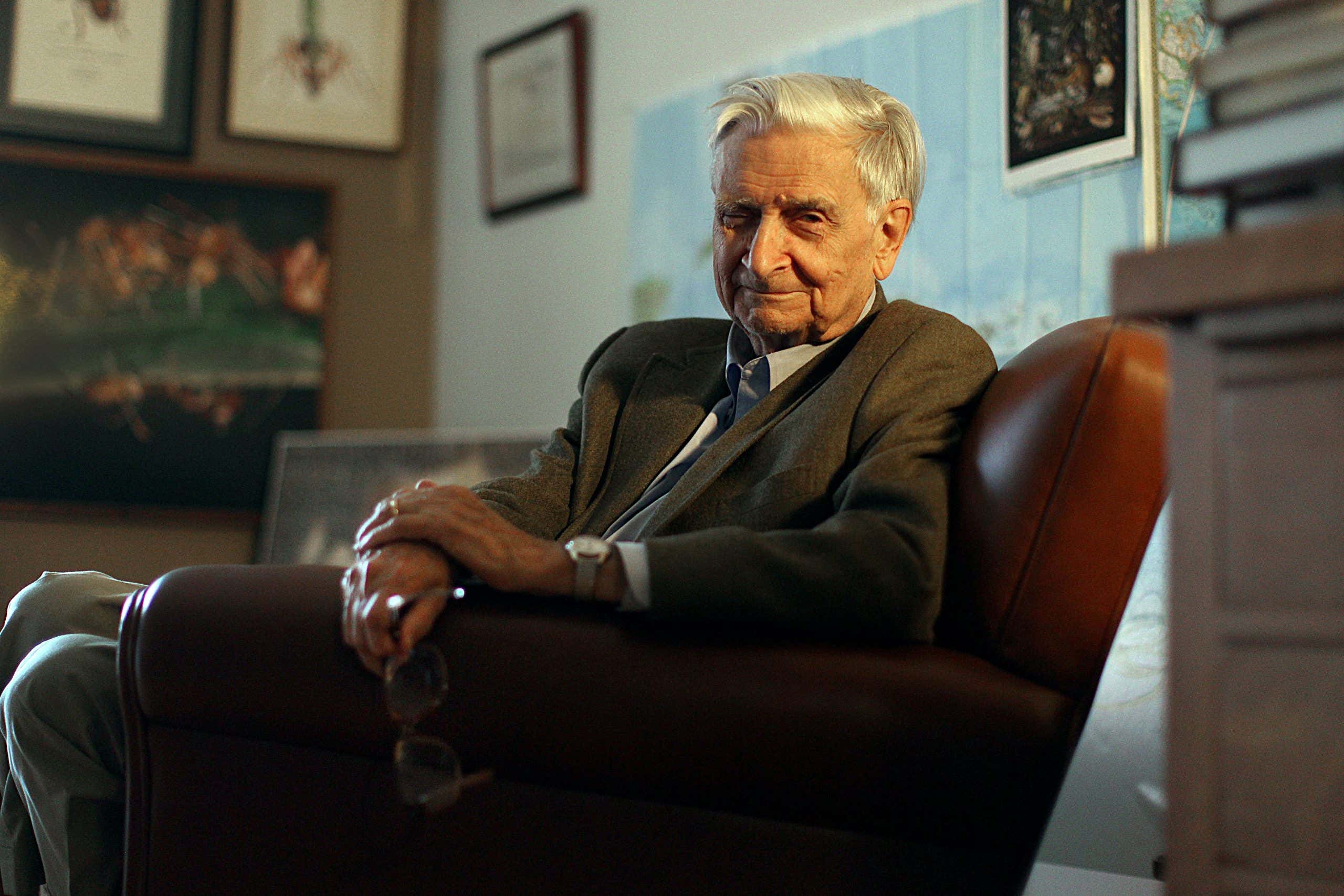 Edward O. Wilson in his office in the Museum of Comparative Zoology at Harvard, in 2014