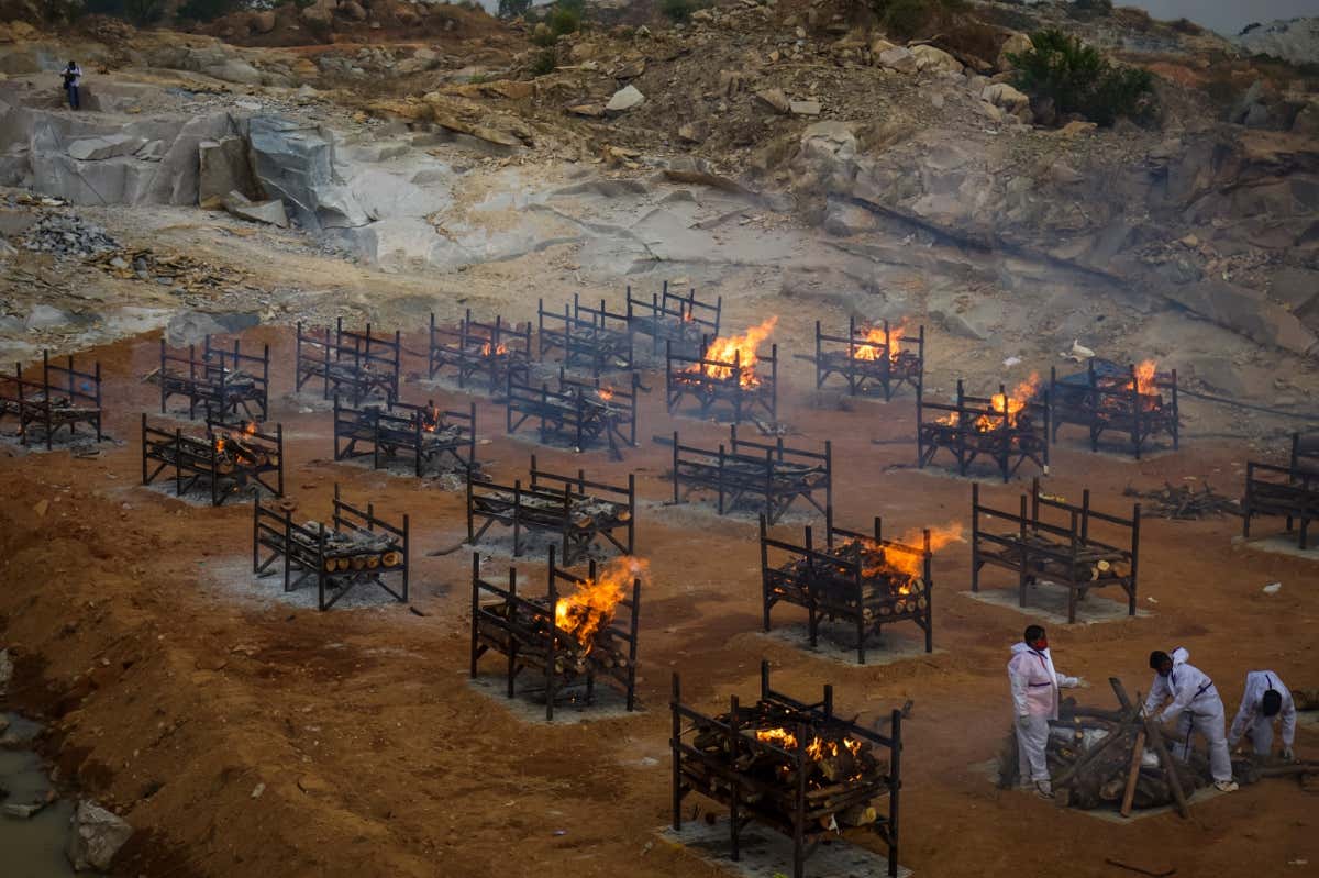 New Scientist. Science news and long reads from expert journalists, covering developments in science, technology, health and the environment on the website and the magazine.