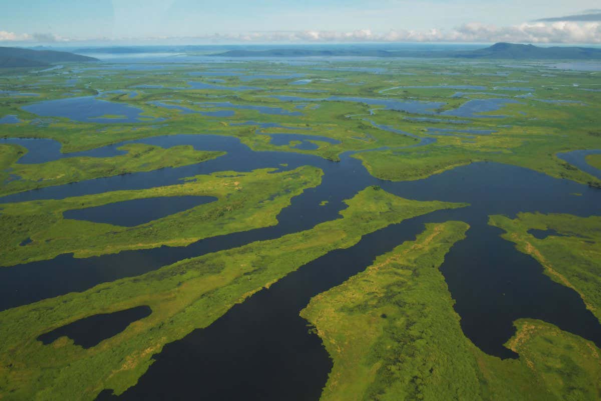 Aerial view of the Pantanal wetlands, in Mato Grosso state, Brazil on March 8, 2018. - The Pantanal is the largest wetland on the planet located in Brazil, Bolivia and Paraguay, covers more than 170,500 km2 and is home to more than 4,000 species of plants and animals. This ecosystem is at risk of collapsing if the rivers' headwaters are not protected from the advance of monoculture plantations, waterways, hydroelectric plants and deforestation warn scientists and activists. (Photo by CARL DE SOUZA / AFP) / TO GO WITH AFP STORY by Eugenia LOGIURATTO (Photo credit should read CARL DE SOUZA/AFP via Getty Images)