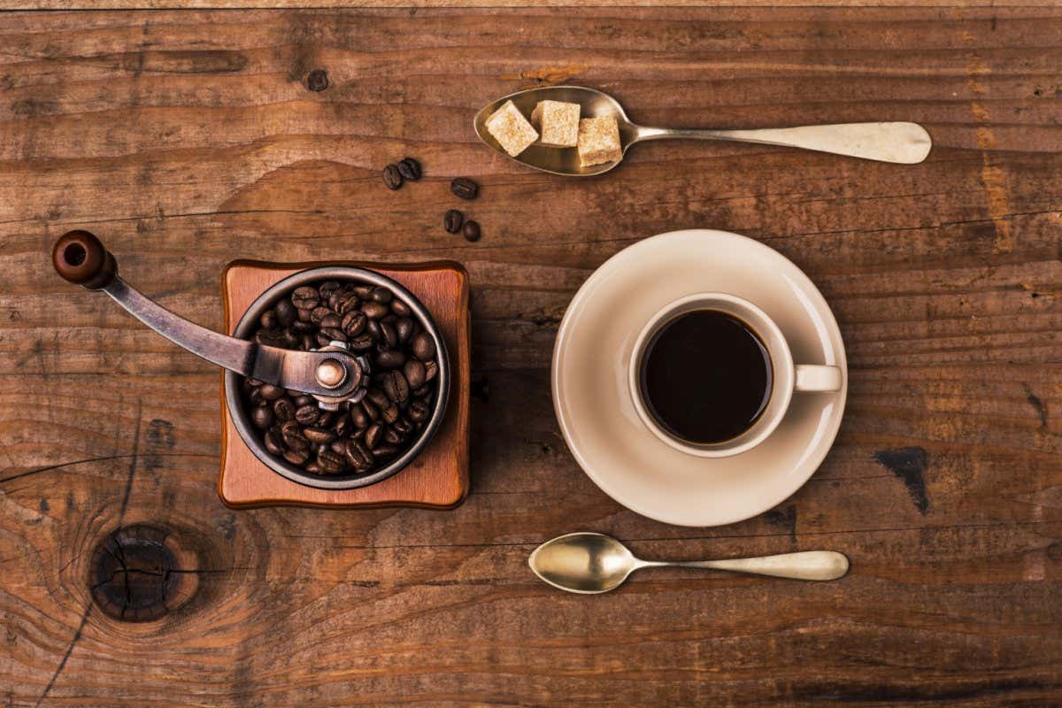 W3T20D grinder with coffee cup on wooden background