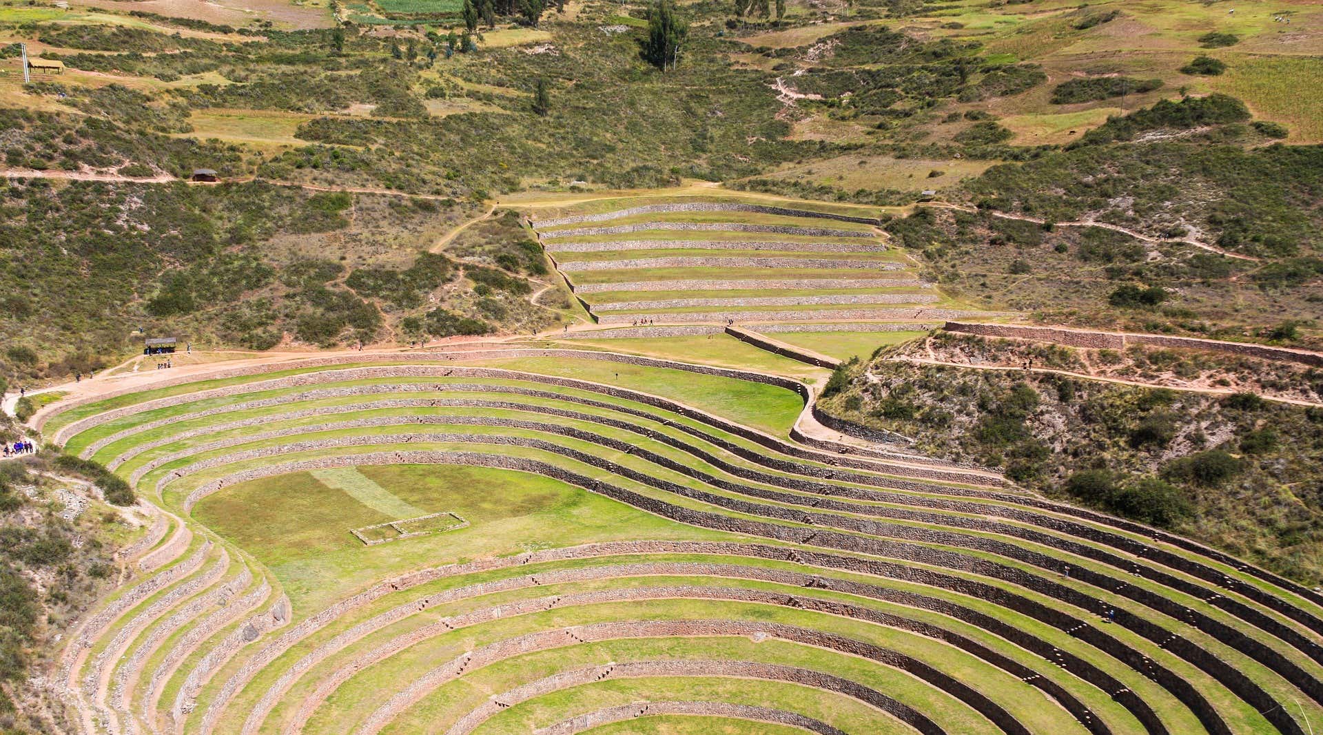 New Scientist. Science news and long reads from expert journalists, covering developments in science, technology, health and the environment on the website and the magazine.