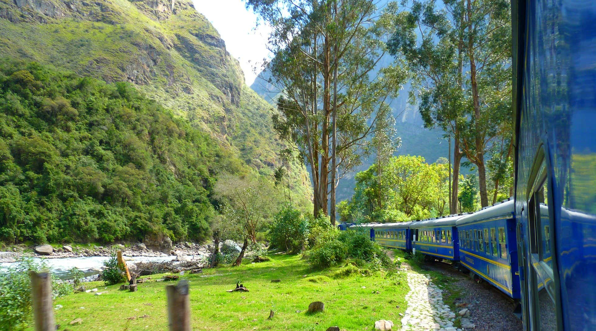 New Scientist. Science news and long reads from expert journalists, covering developments in science, technology, health and the environment on the website and the magazine.