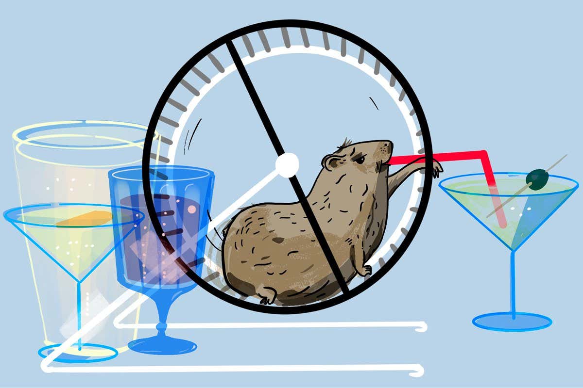 Not so lightweight: Hamsters handle their drink better than elephants