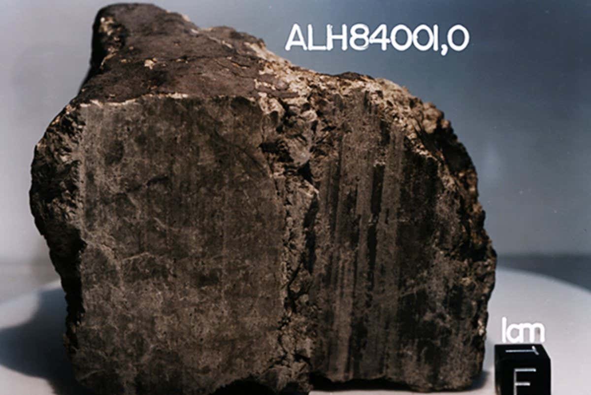 The Allan Hills 84001 meteorite courtesy of NASA/JSC/Stanford University.