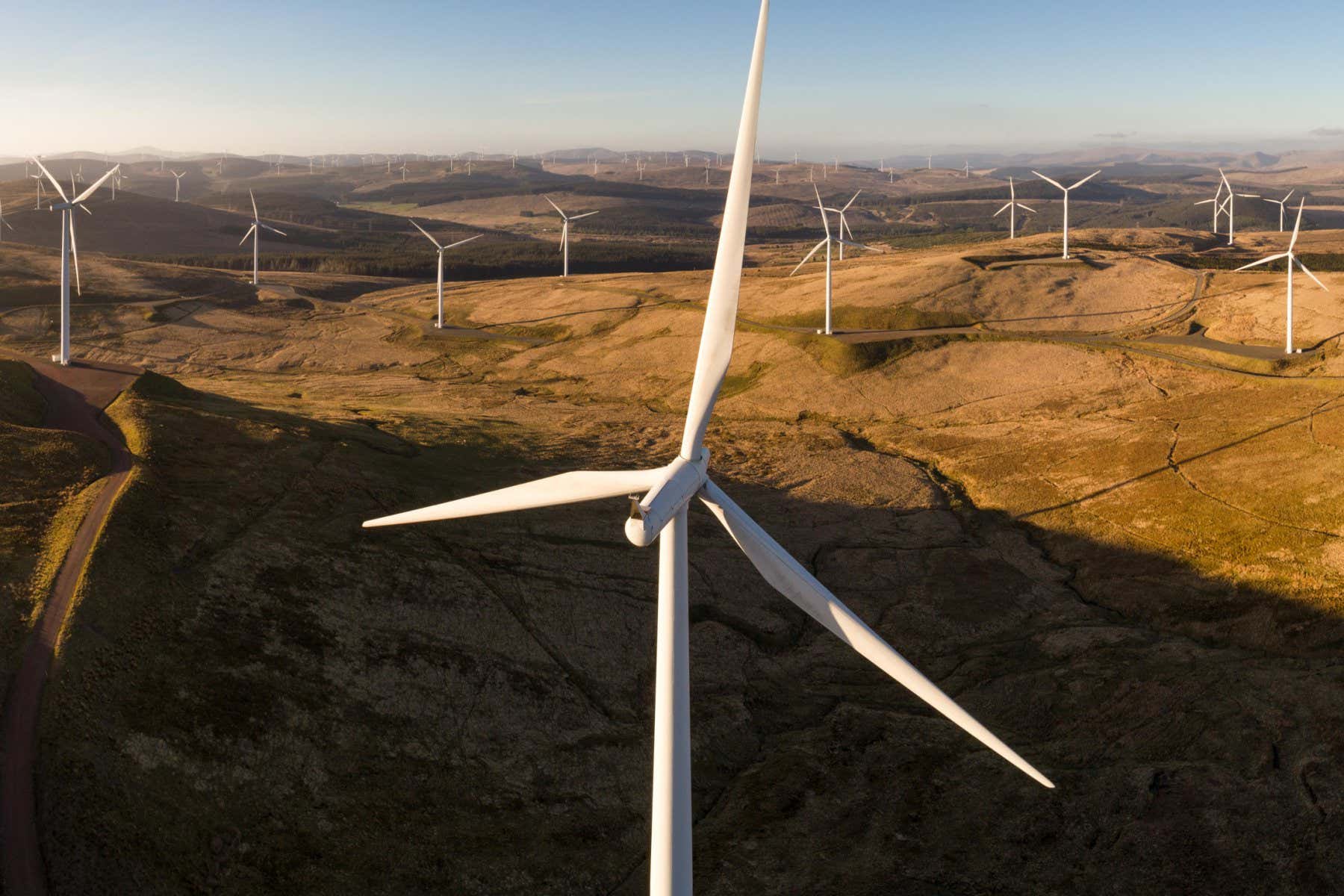 RYFMB1 Aerial panorama showing the 206 turbine Clyde Wind Farm in evening light.