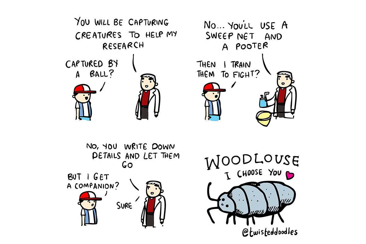 Twisteddoodles: The youthful joys of scientific fieldwork