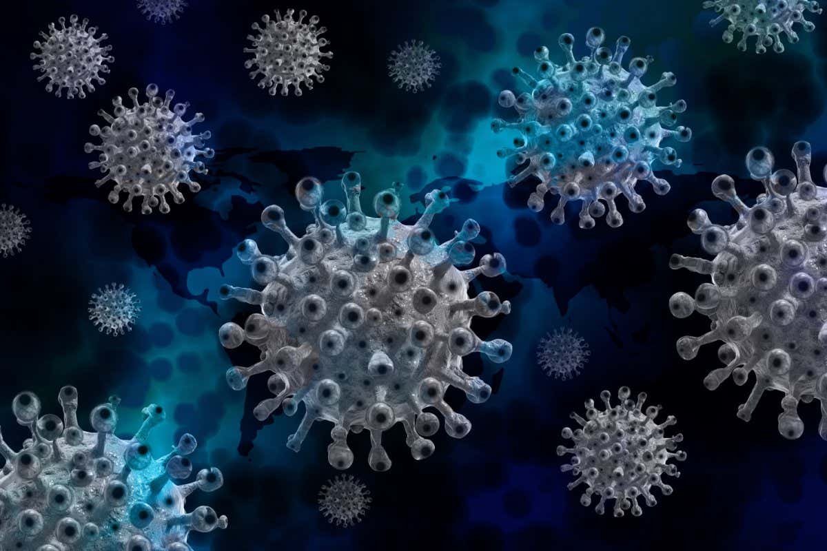 Corona virus, illustration.