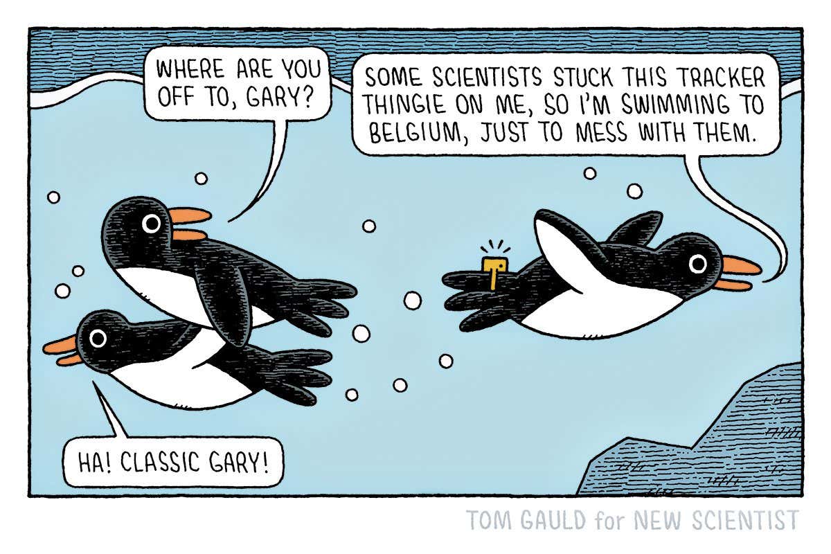 New Scientist. Science news and long reads from expert journalists, covering developments in science, technology, health and the environment on the website and the magazine.