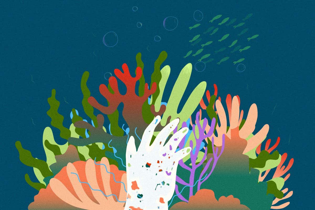 New Scientist. Science news and long reads from expert journalists, covering developments in science, technology, health and the environment on the website and the magazine.