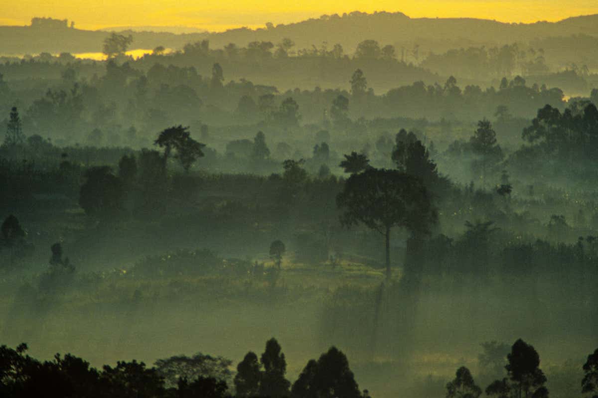 New Scientist. Science news and long reads from expert journalists, covering developments in science, technology, health and the environment on the website and the magazine.