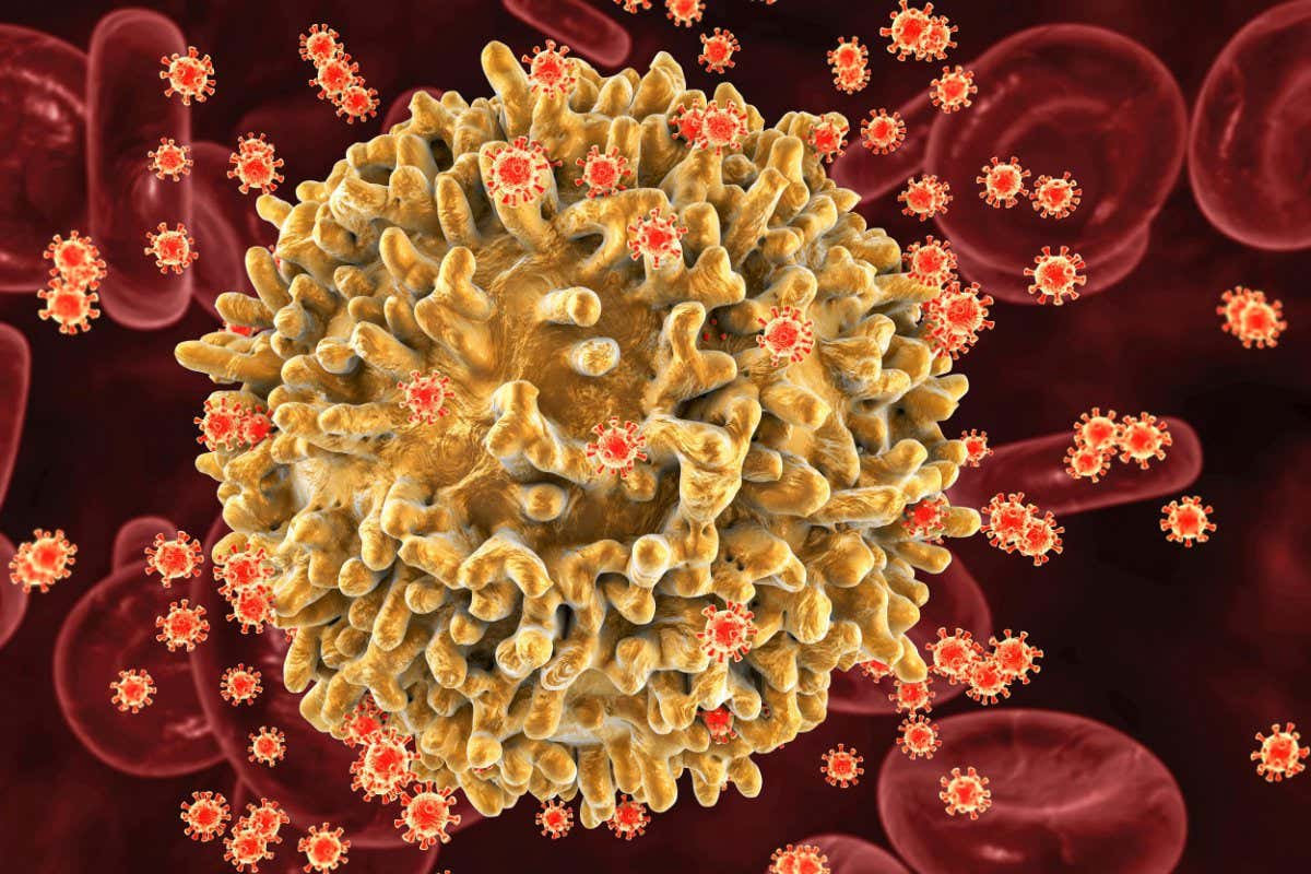 HIV viruses infecting T-lymphocytes