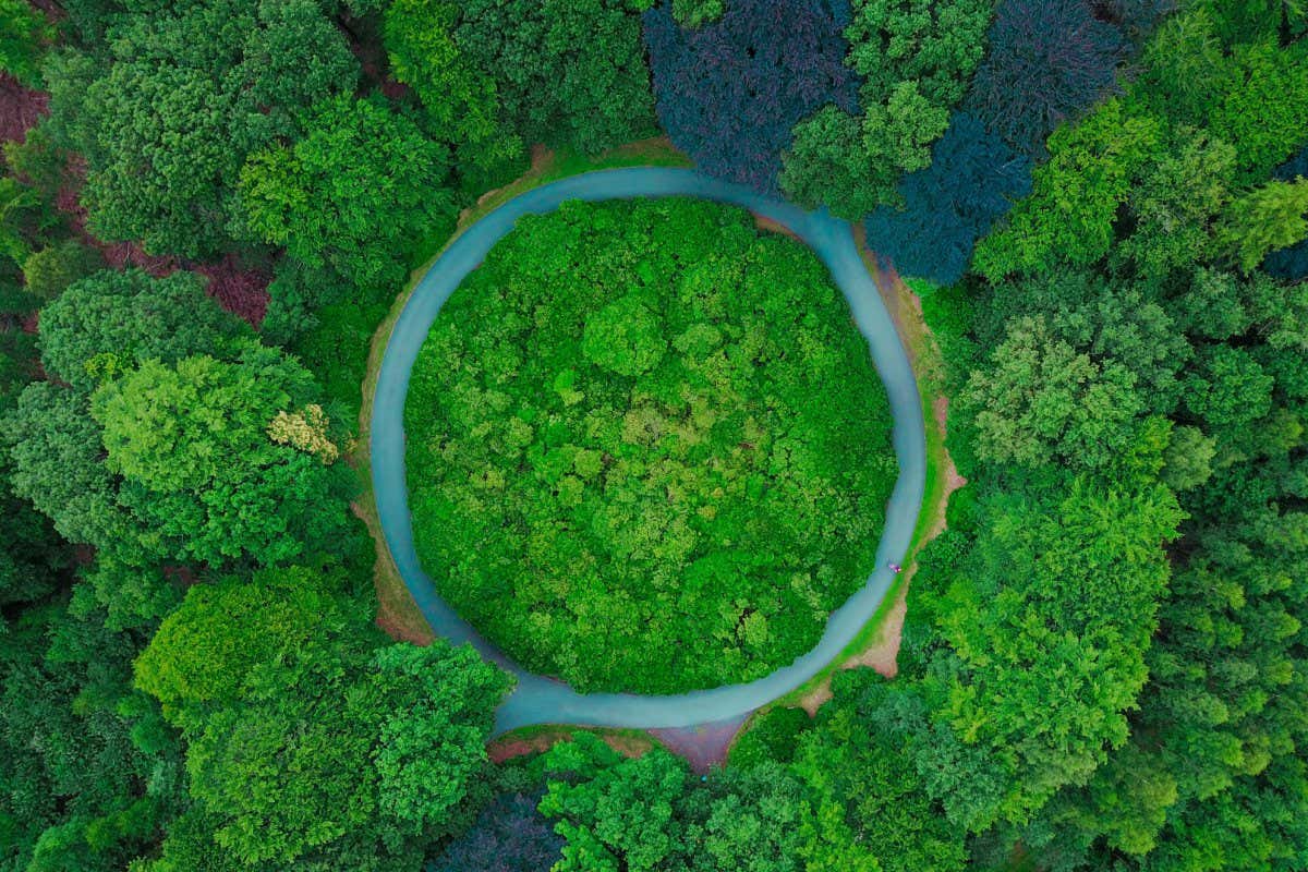 Also picture very perfect