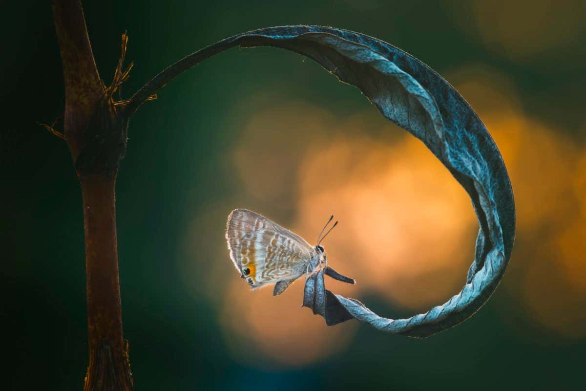 New Scientist. Science news and long reads from expert journalists, covering developments in science, technology, health and the environment on the website and the magazine.