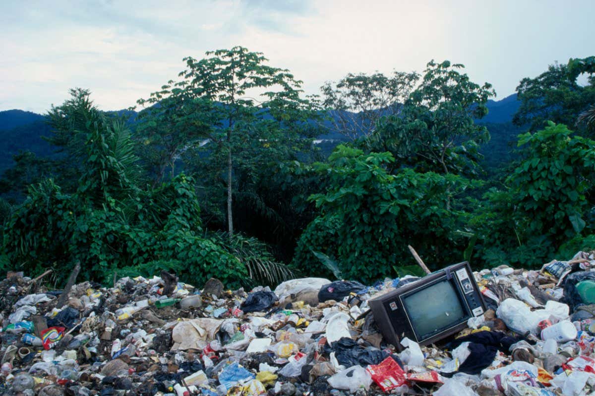 BBEEN8 WEST INDIES Trinidad Northern Range