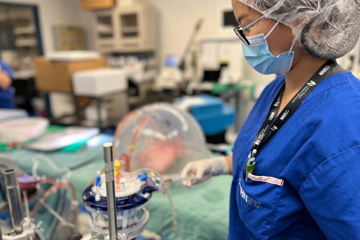 Dr. Aizhou Wang demonstrates the enzymes delivery to an Ex Vivo Lung Perfusion (EVLP) system. (Credit: UHN)