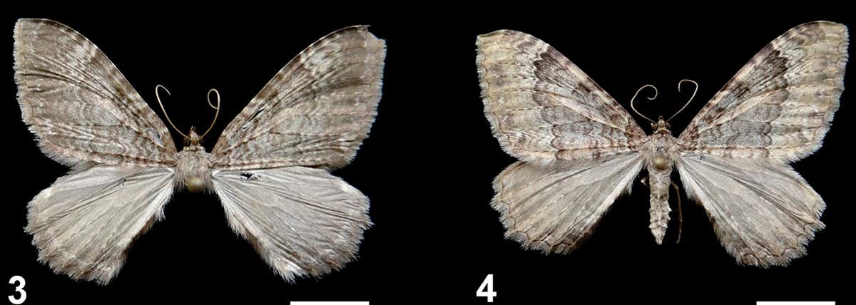 New Scientist. Science news and long reads from expert journalists, covering developments in science, technology, health and the environment on the website and the magazine.