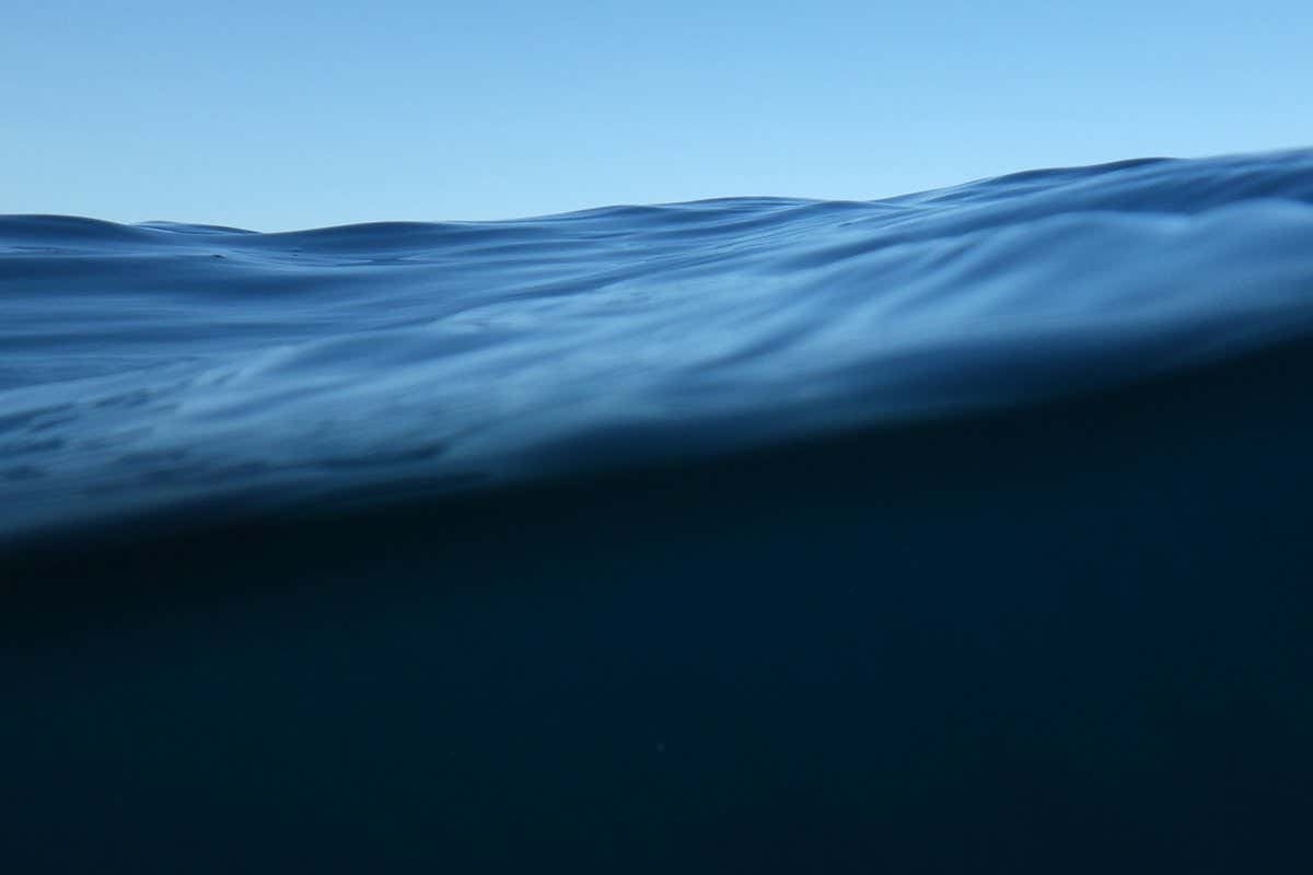 New Scientist. Science news and long reads from expert journalists, covering developments in science, technology, health and the environment on the website and the magazine.