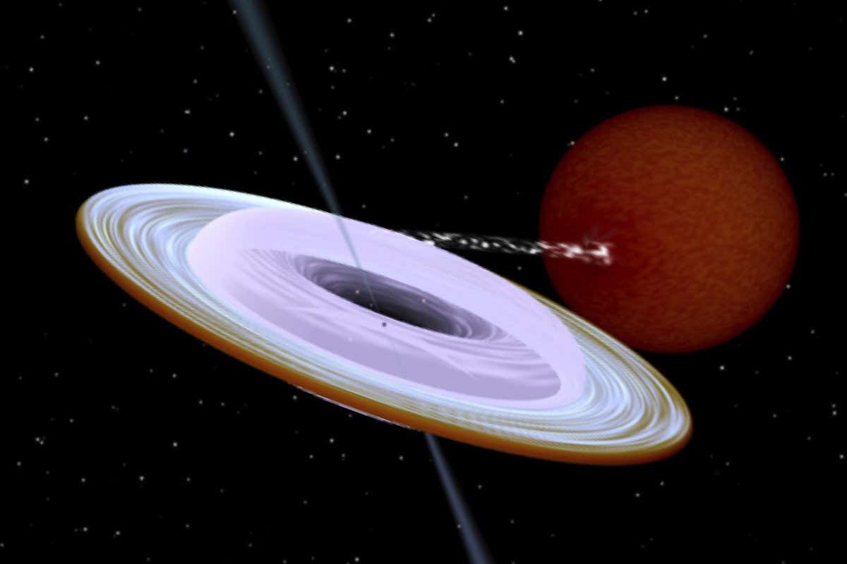 Artist impression of the X-ray binary system containing a black hole (small black dot at the center of the accretion disk) and a companion star. The jet that is directed along the black hole spin axis is strongly misaligned from the rotation axis of the orbit. Image produced with the Binsim software.