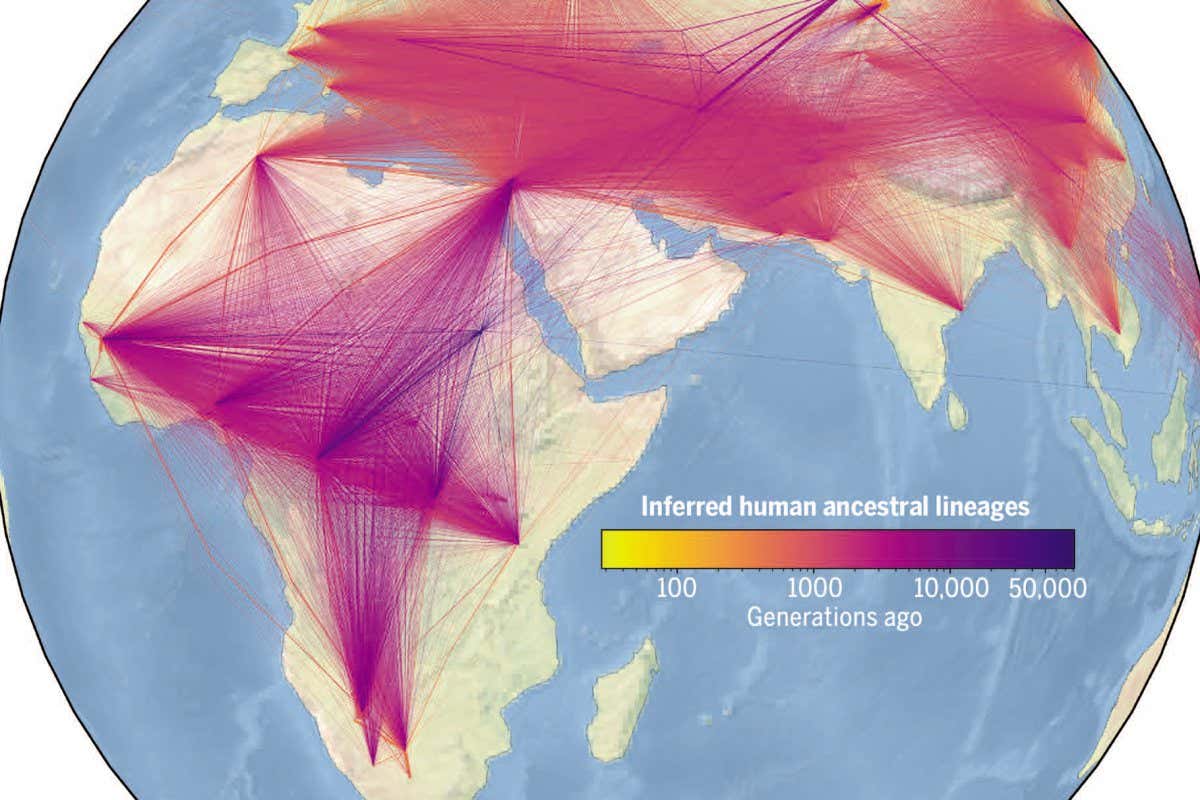 Visualizing inferred human ancestral lineages over time and space. Each line represents an ancestor-descendant relationship in our inferred genealogy of modern and ancient genomes. The width of a line corresponds to how many times the relationship is observed, and lines are colored on the basis of the estimated age of the ancestor.