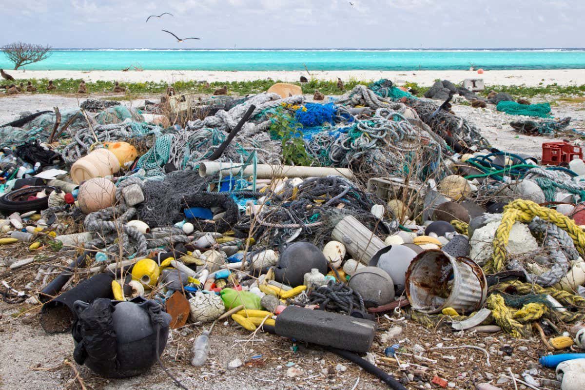 Plastic garbage collected research plot to assess plastic pollution Eastern Island Midway Atoll National Wildlife Refuge