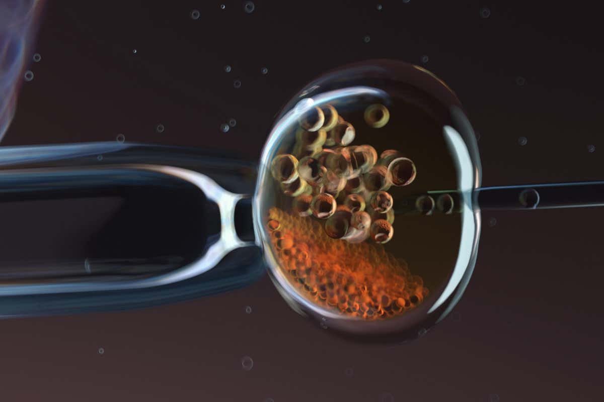 New Scientist. Science news and long reads from expert journalists, covering developments in science, technology, health and the environment on the website and the magazine.