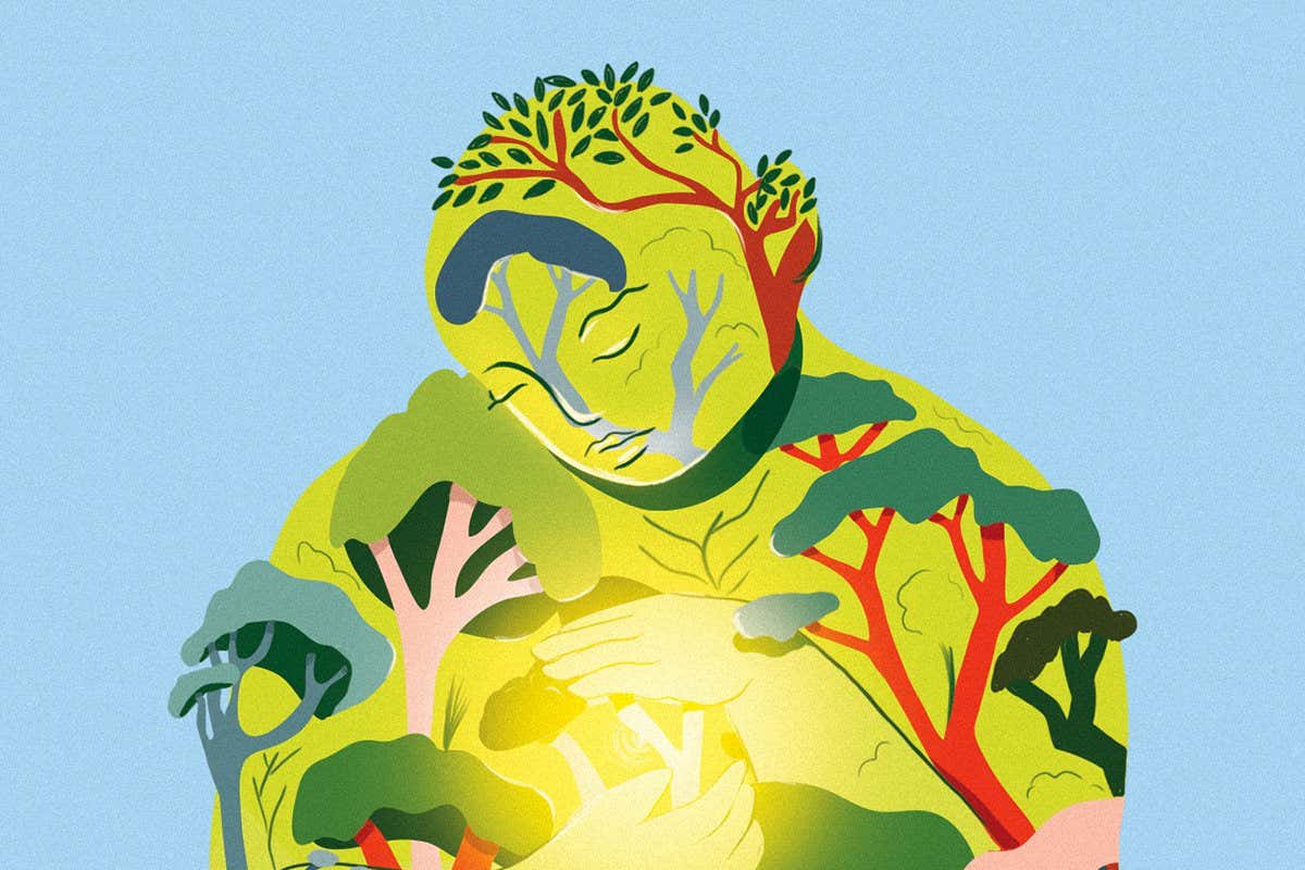 We need to count every tree on the planet - here’s why