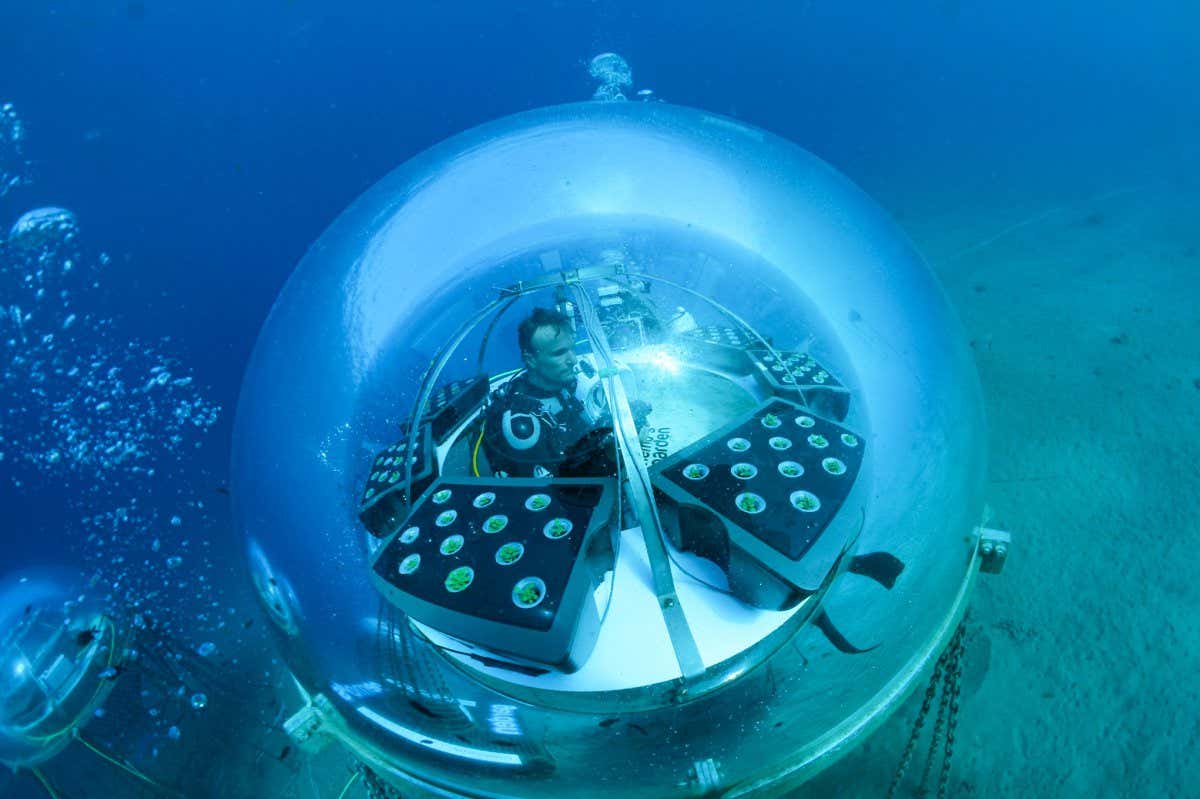 New Scientist. Science news and long reads from expert journalists, covering developments in science, technology, health and the environment on the website and the magazine.