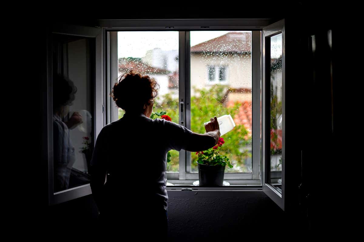 New Scientist. Science news and long reads from expert journalists, covering developments in science, technology, health and the environment on the website and the magazine.