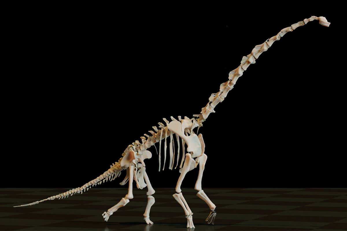 Long-necked sauropod dinosaurs had unusual way of walking