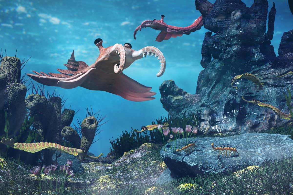 The 'Cambrian explosion' saw the emergence of many animals we recognise today