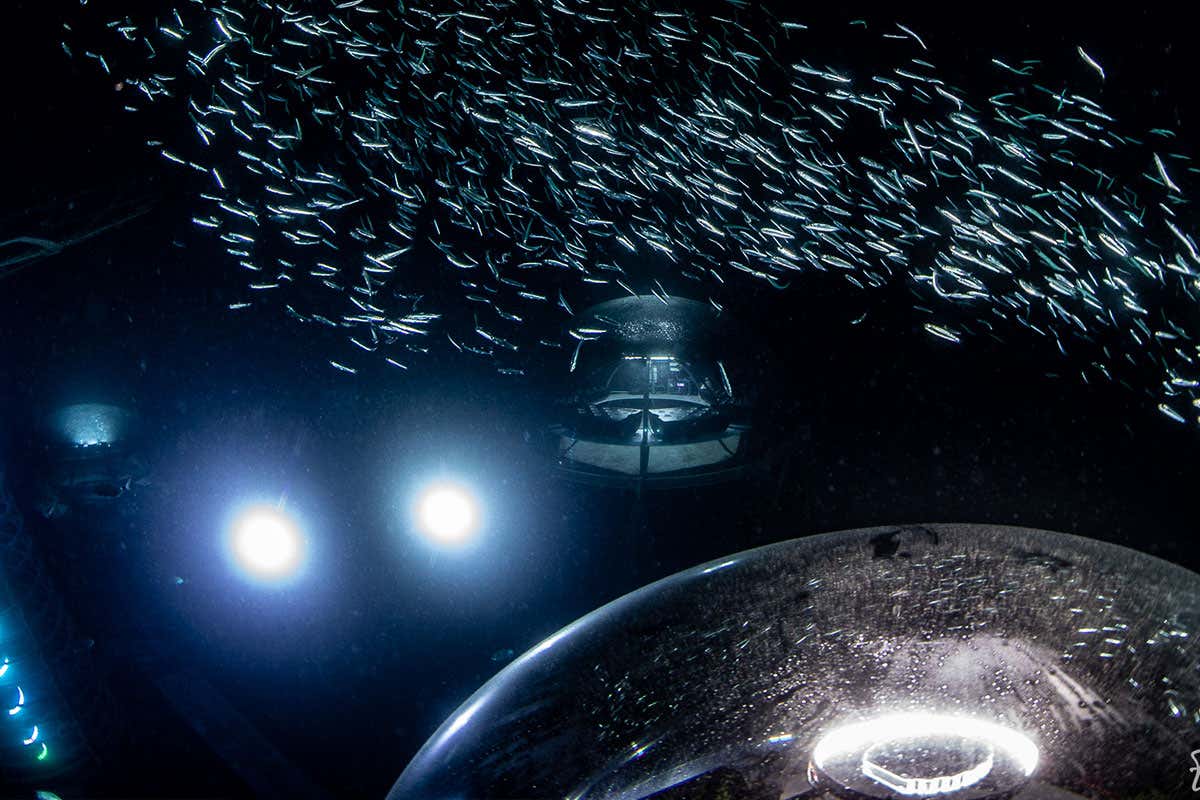 The underwater sea farm that's like a space station