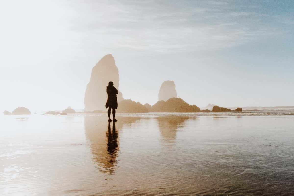 New Scientist. Science news and long reads from expert journalists, covering developments in science, technology, health and the environment on the website and the magazine.