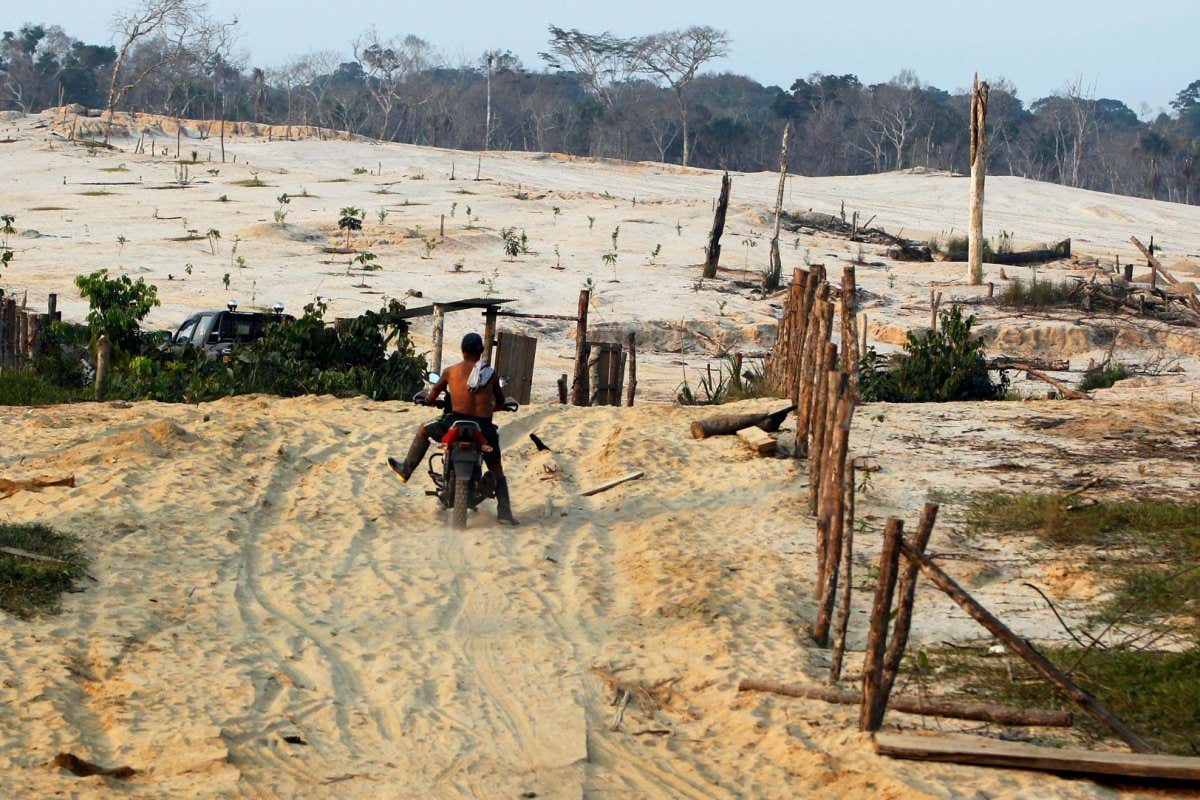 2CWY69N A motorcyclist rides in an area deforested for informal gold mining, along the Interoceanic highway section linking Peru and Brazil in the Amazon region of Madre de Dios, August 20, 2010. Parts of land along the highway have undergone deforestation for agriculture purposes and the advancement of informal mining. At least 18,000 hectares of forest, including indigenous land, have been transformed into desert in this region, according to Peru's Environment Minister Antonio Brack. Picture taken August 20, 2010. REUTERS/Mariana Bazo (PERU - Tags: ENVIRONMENT SOCIETY AGRICULTURE)