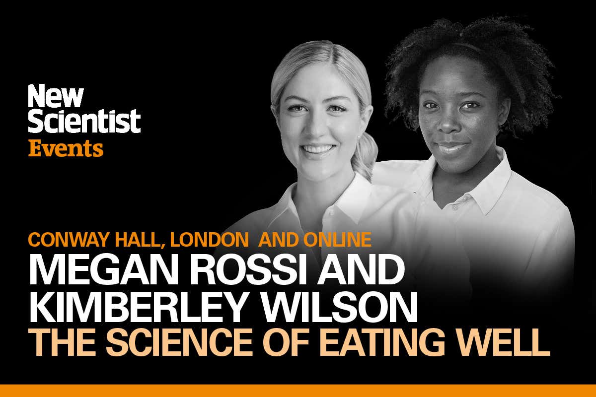 New Scientist Default Image